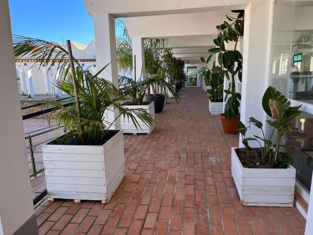 Hotel La Alcoholera Villaviciosa de Cordoba Экстерьер фото